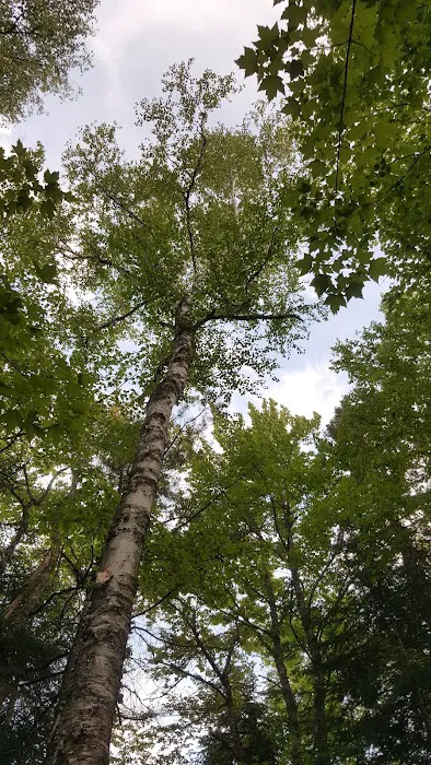Daicey Pond Campground Picture 5