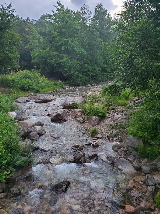 Katahdin Stream Campground Picture 5