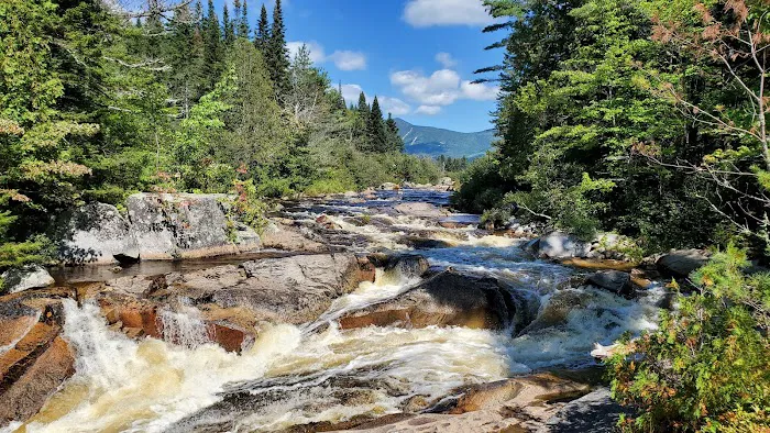 Katahdin Stream Campground Picture 9