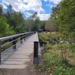 Katahdin Stream Campground