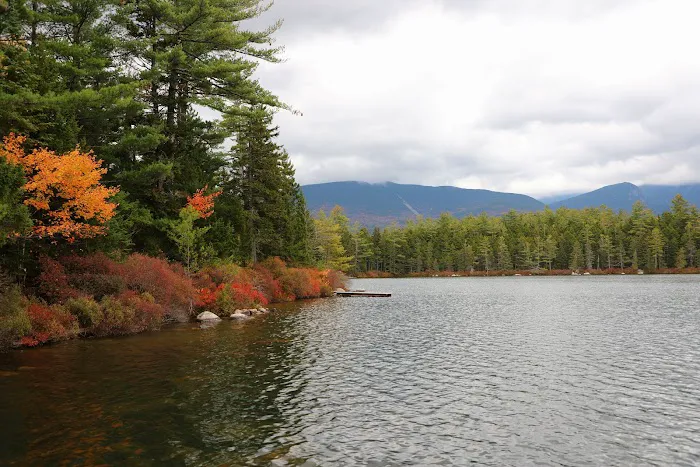 Katahdin Stream Campground Picture 4