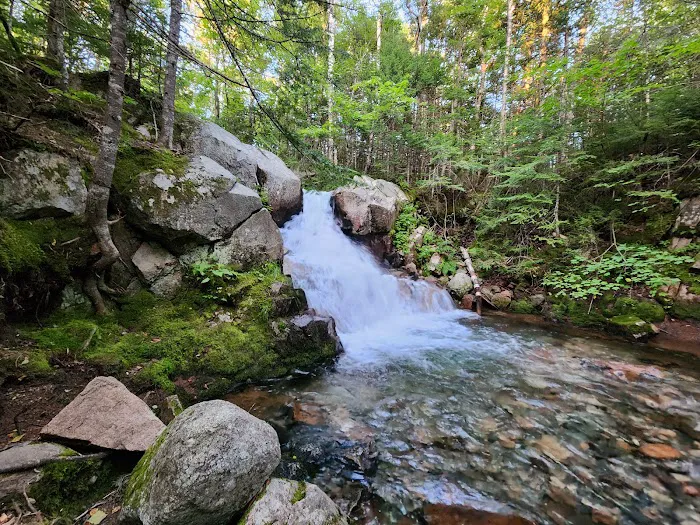 Abol Campground Picture 8