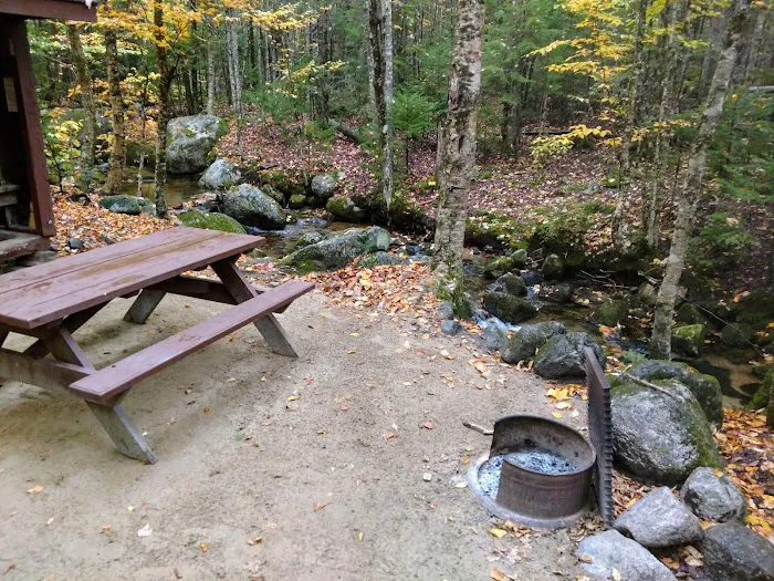 Abol Campground Picture 3