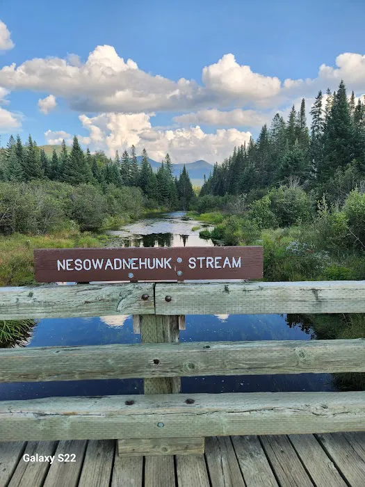 Nesowadnehunk Field Campground Picture 7