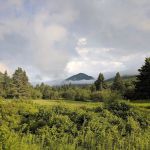 Nesowadnehunk Field Campground