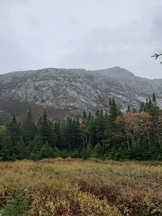 Chimney Pond Campground Picture 9