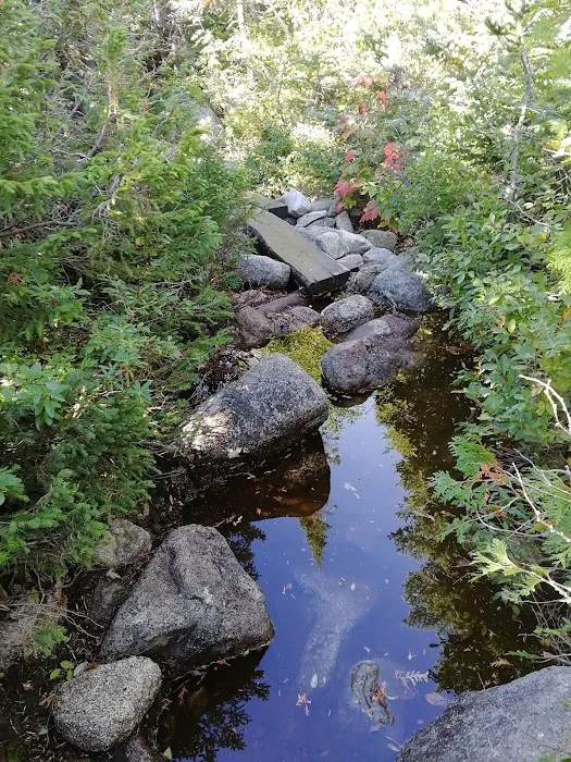 Chimney Pond Campground Picture 5