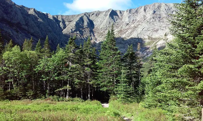Chimney Pond Campground Picture 7