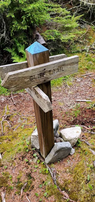 Duck Harbor Campground Picture 7