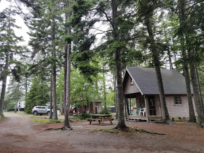 Bass Harbor Campground Picture 7