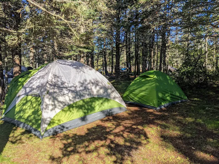 Bass Harbor Campground Picture 4