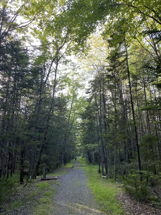 Seawall Campground Picture 9