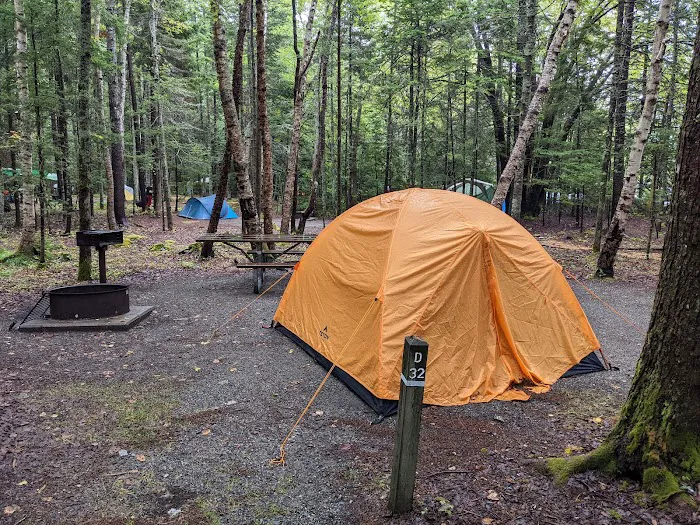 Seawall Campground Picture 10