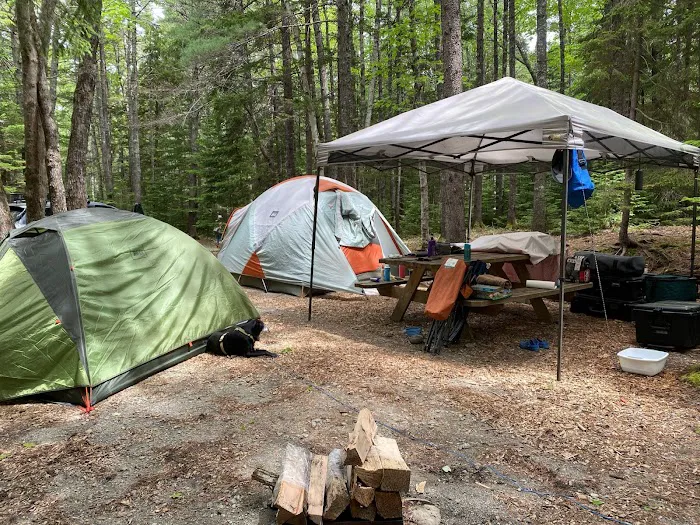Mount Desert Campground Picture 5