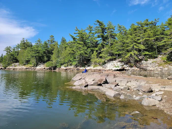 Mount Desert Campground Picture 6