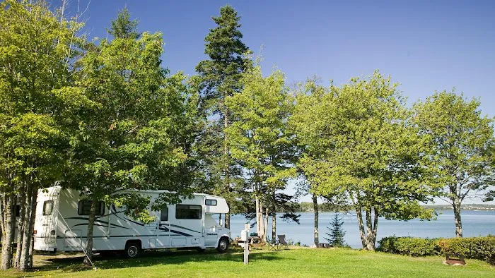 Mt Desert Narrows Campground Picture 7