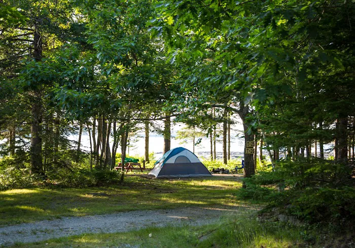 Mt Desert Narrows Campground Picture 9