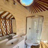 Evergreen Yurts ico