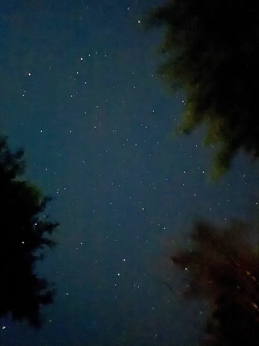 Evergreen Yurts Picture 10