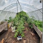 Connors Family Compound