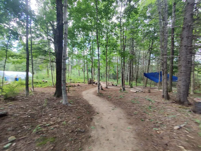 Connors Family Compound Picture 9