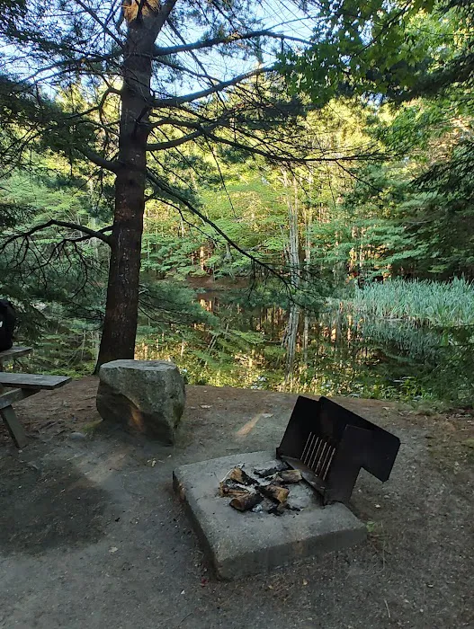 Bar Harbor Campground Picture 7