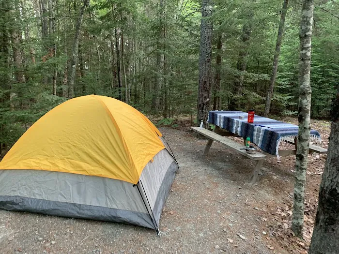 Bar Harbor Campground Picture 6