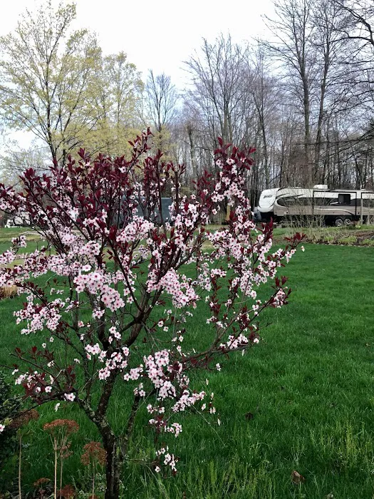 The Lake Campground Picture 3