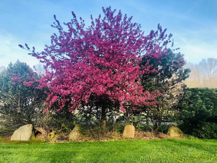 The Lake Campground Picture 4