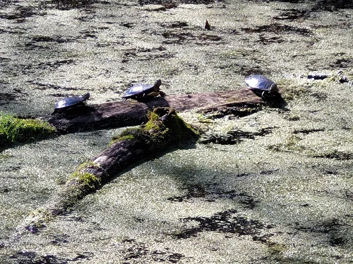 Ohio And Erie Canal Towpath Trail Campsite Picture 7