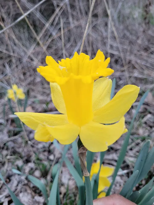 Ohio And Erie Canal Towpath Trail Campsite Picture 6