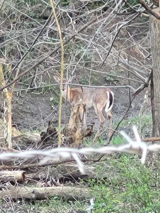 Ohio And Erie Canal Towpath Trail Campsite Picture 8