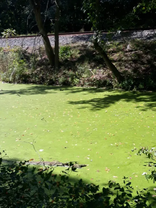 Ohio And Erie Canal Towpath Trail Campsite Picture 2