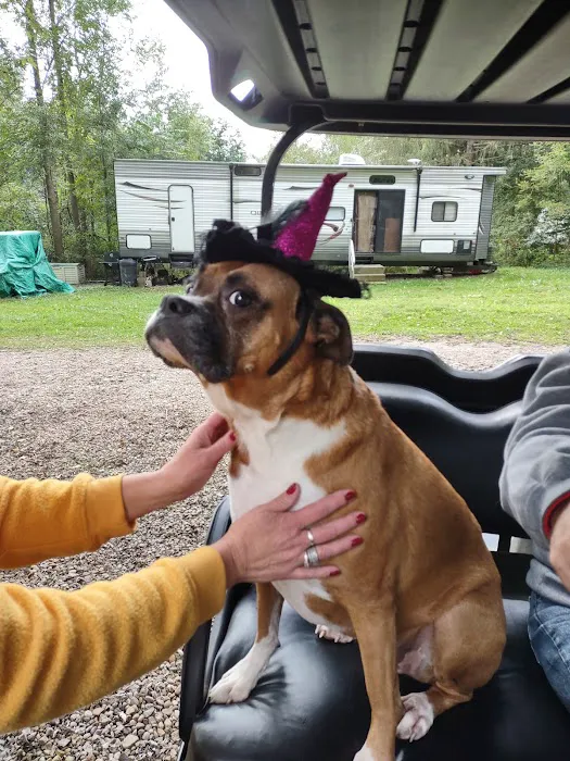 Hillside Park of Clinton Picture 4