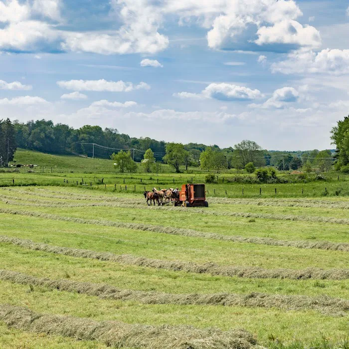 Timbercrest Camp and RV Park Picture 4