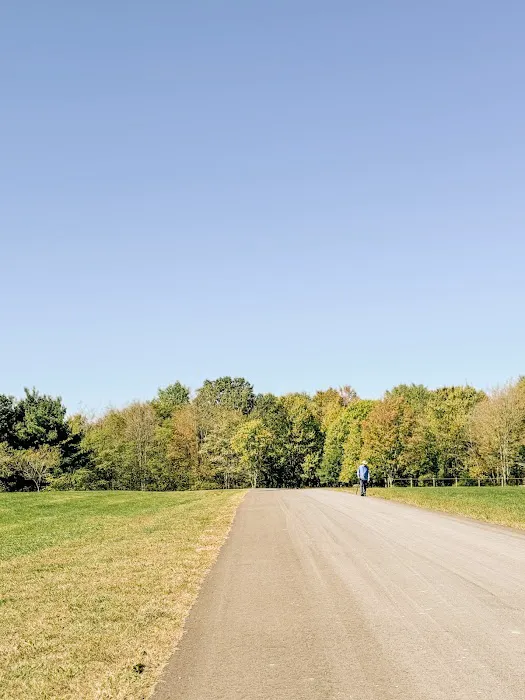 Timbercrest Camp and RV Park Picture 6