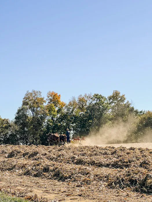Timbercrest Camp and RV Park Picture 8