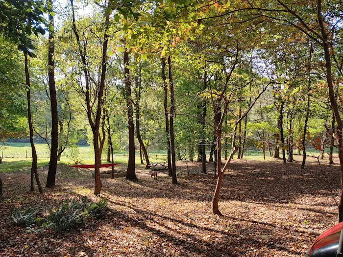 Fiat Hill Hipcamp Picture 5