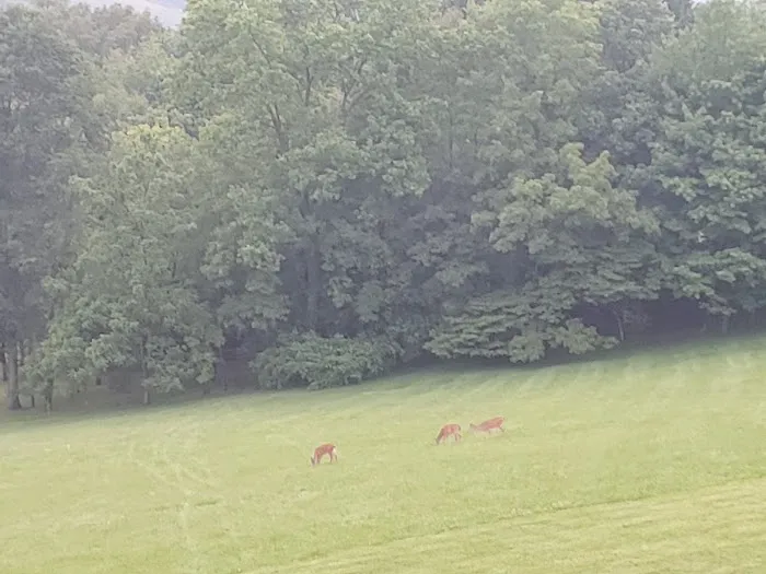 Fiat Hill Hipcamp Picture 1