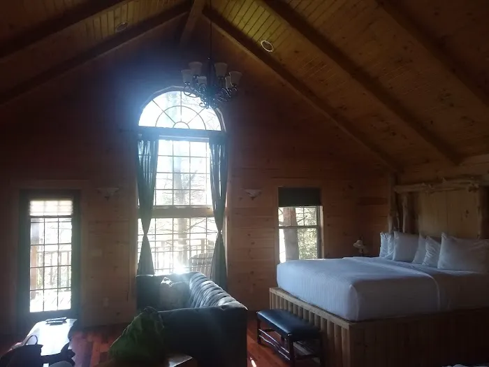 Whispering Pines Tree House Picture 3