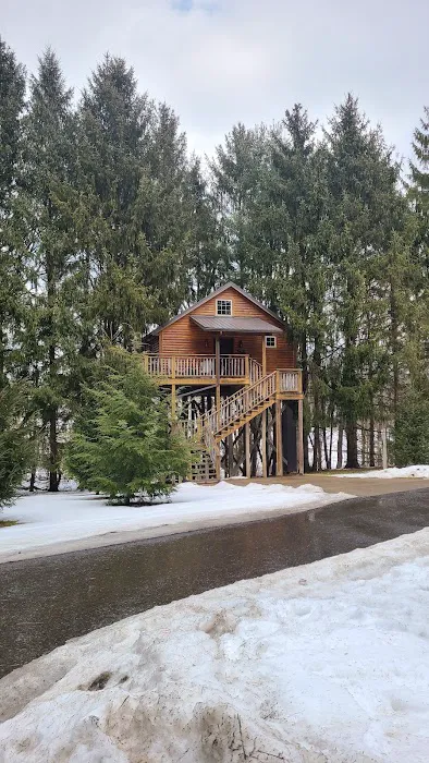 Whispering Pines Tree House Picture 5