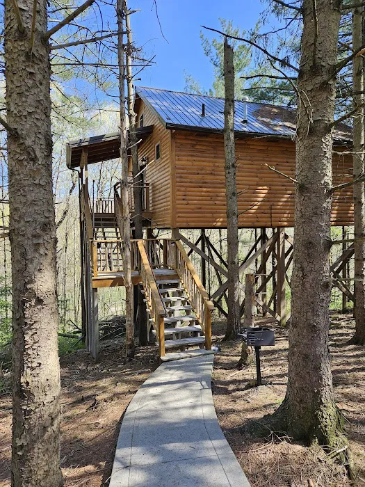 Whispering Pines Tree House Picture 8