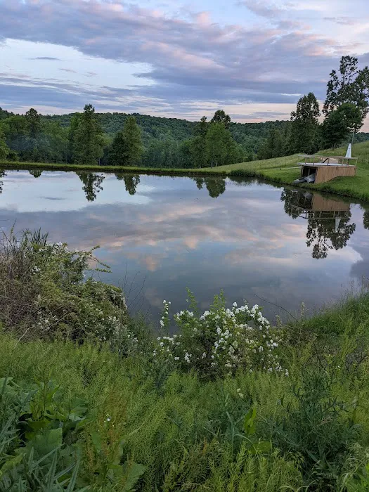 Turkey Hollow Campground Picture 1