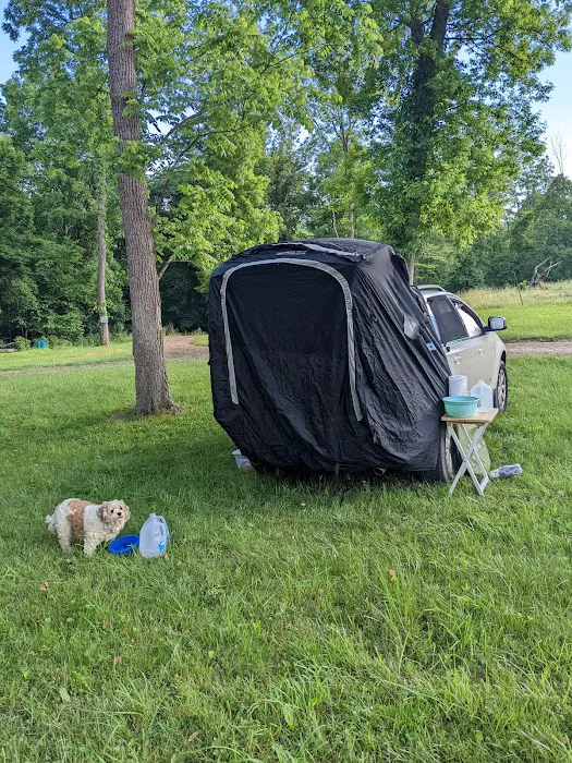 Turkey Hollow Campground Picture 7