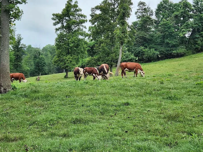 Turkey Hollow Campground Picture 6