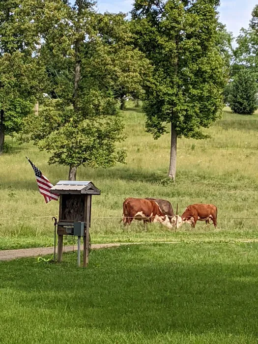 Turkey Hollow Campground Picture 2