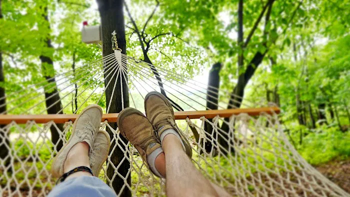 Canvas Cottages Glampsites Picture 3