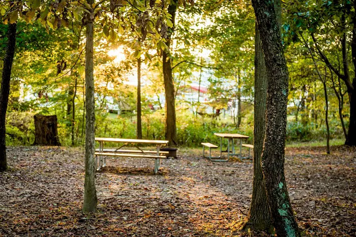 Coshocton KOA Holiday Picture 7