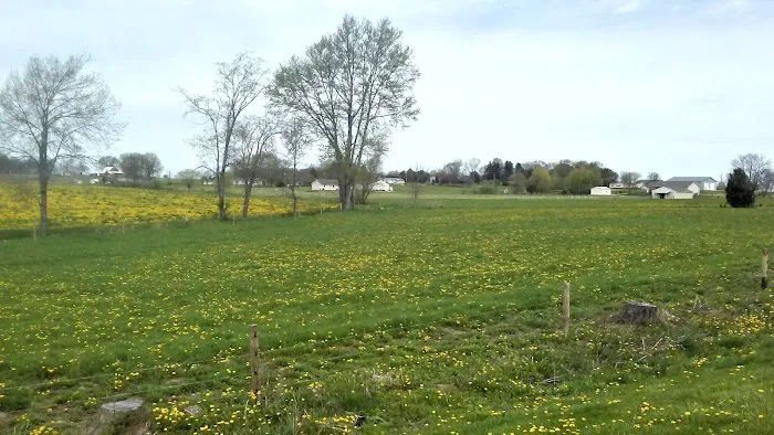 Caskeys Campground Picture 3