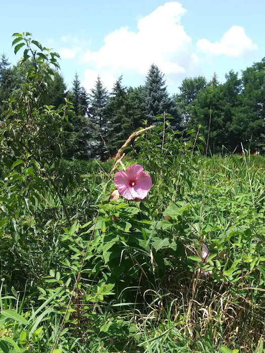 Caskeys Campground Picture 5